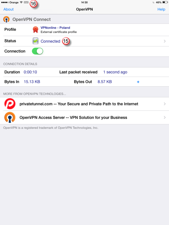 iPad OpenVPN VPN