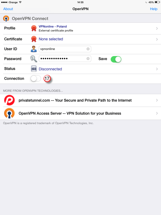 iPad OpenVPN VPN