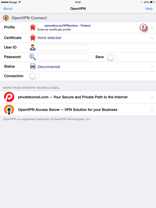 iPad OpenVPN VPN