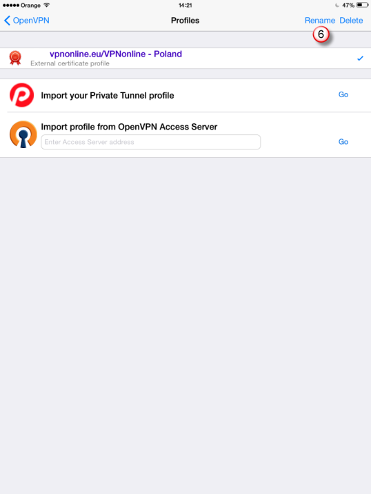 iPad OpenVPN VPN