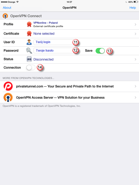 iPad OpenVPN VPN